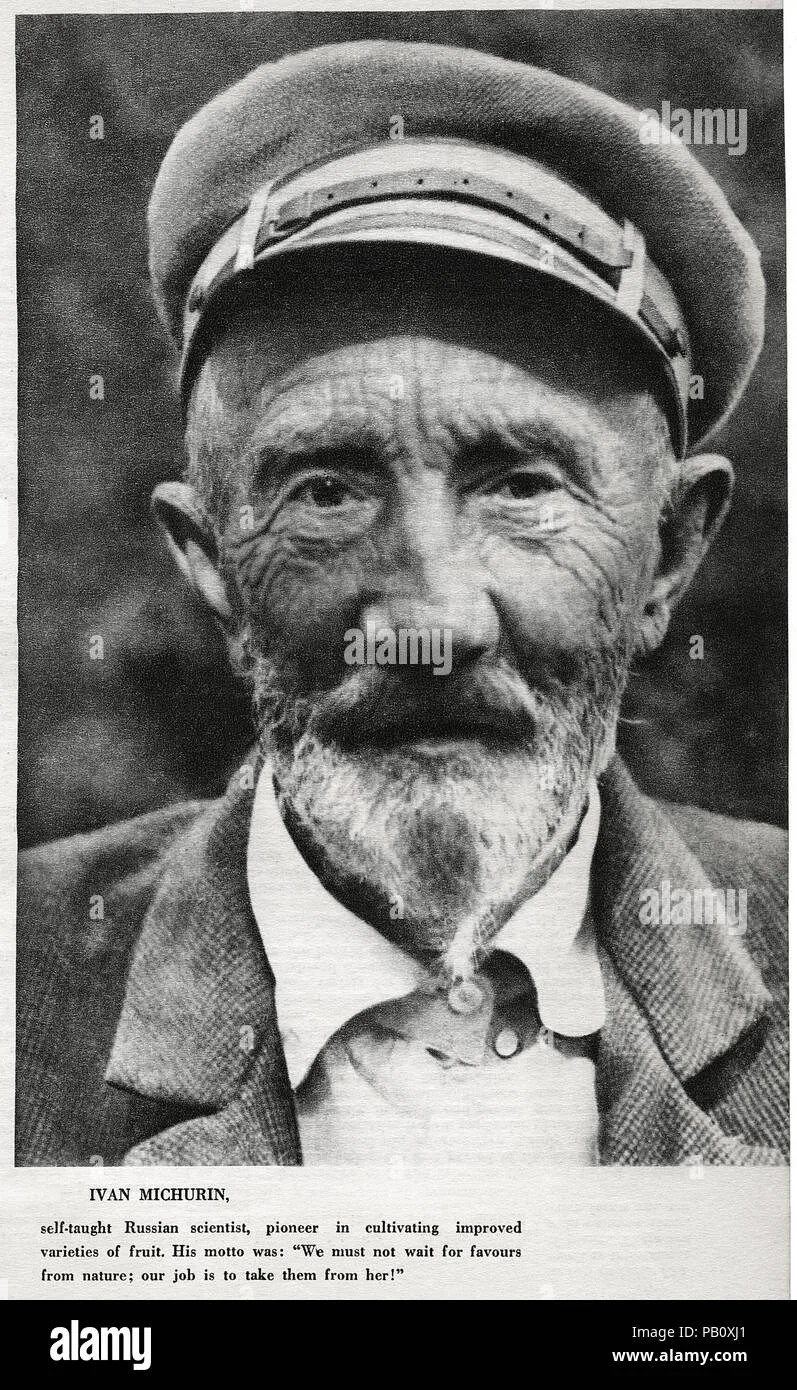 Iván Vladímirovich Michurin — Imagen alternativa
