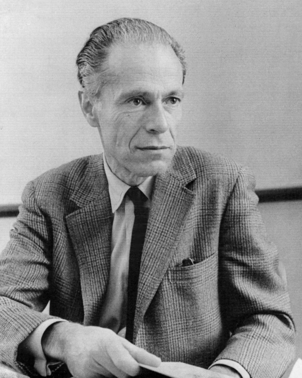 Albert O. Hirschman — Imagen alternativa