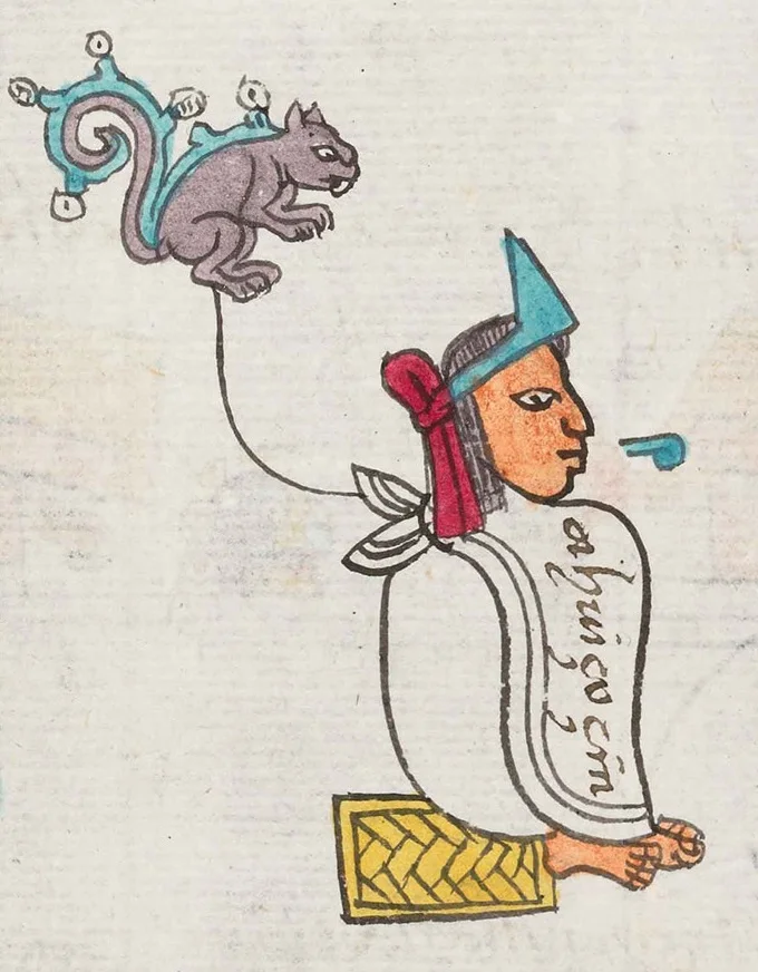 Ahuízotl — Imagen principal