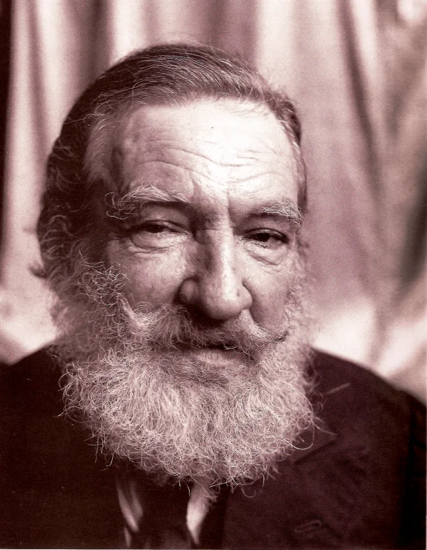 Armando Reverón — Imagen principal