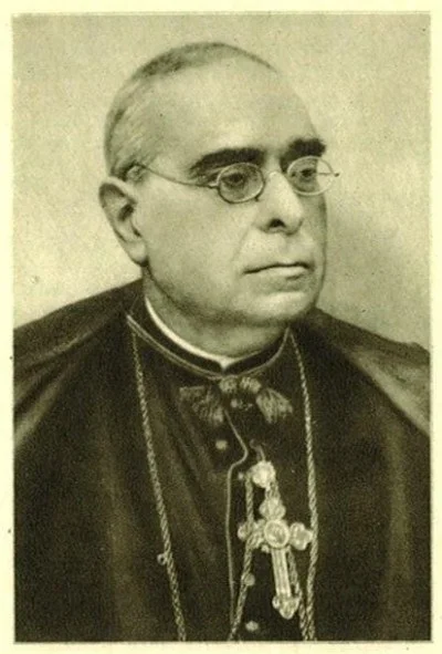 José Torras y Bages — Imagen principal