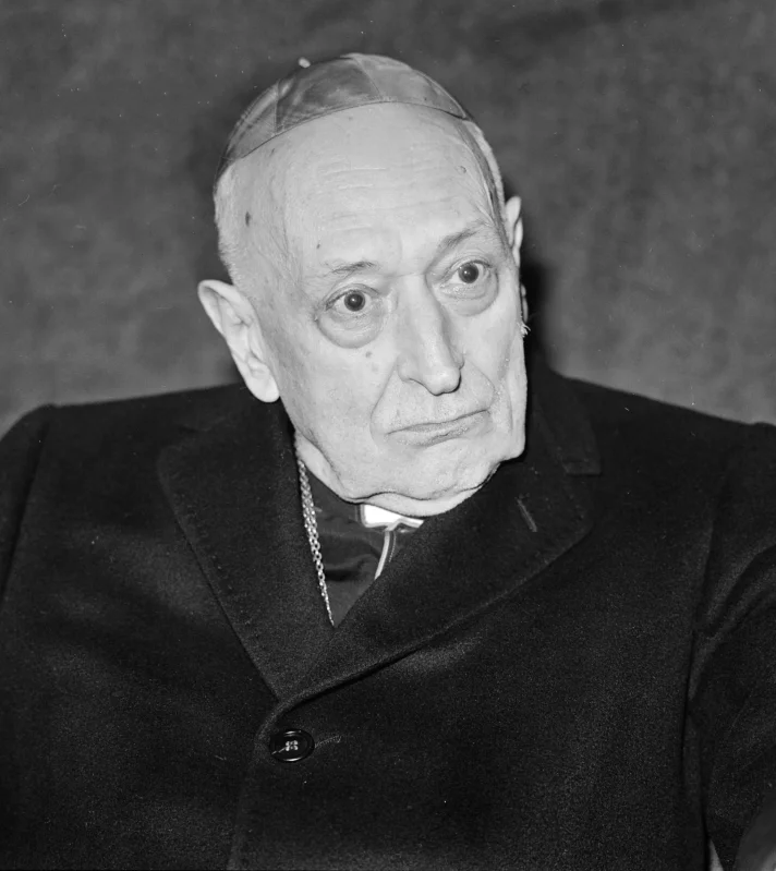 József Mindszenty — Imagen principal