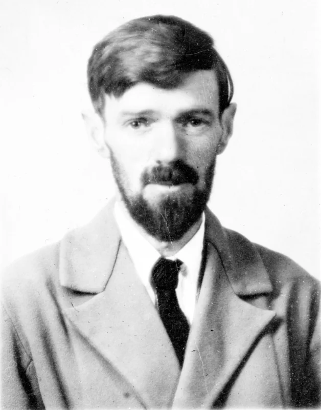 D. H. Lawrence — Imagen principal