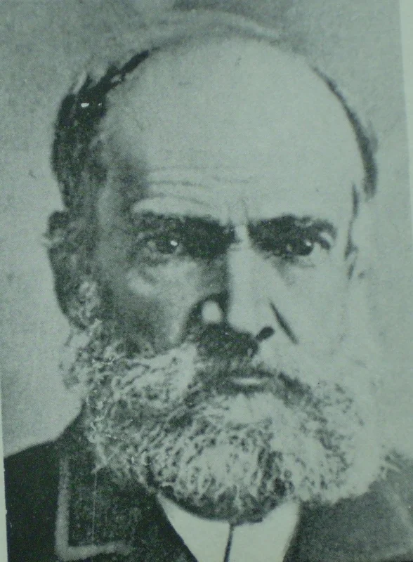 Diego Barros Arana — Imagen principal