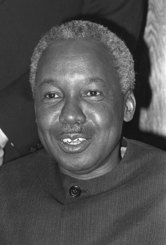 Julius Nyerere — Imagen principal