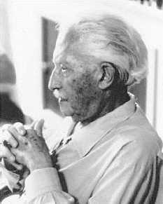 Erik Erikson — Imagen principal