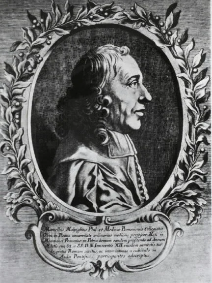 Marcello Malpighi — Imagen principal