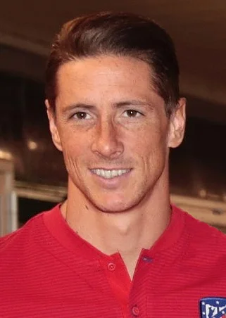 Fernando Torres — Imagen principal