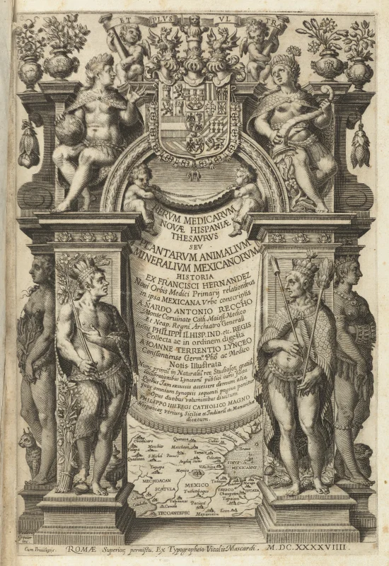 Francisco Hernández de Toledo — Imagen principal