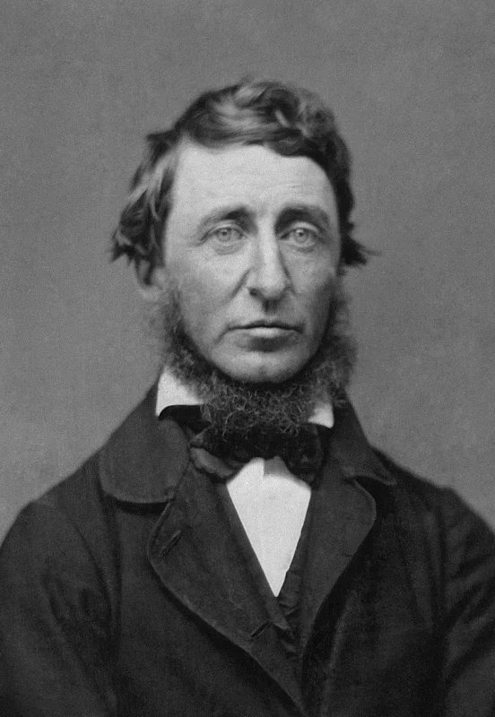Henry David Thoreau — Imagen principal