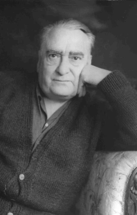 Hernán del Solar — Imagen principal