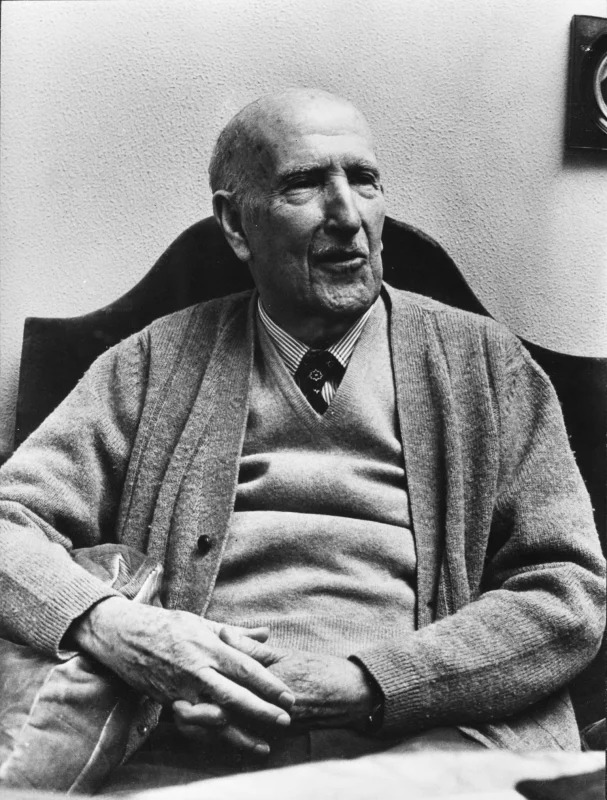 Vicente Aleixandre — Imagen principal