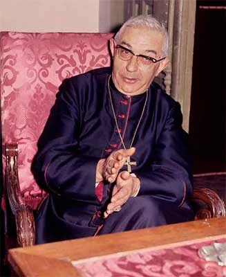 Vicente Enrique y Tarancón — Imagen principal