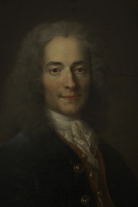 Voltaire — Imagen principal
