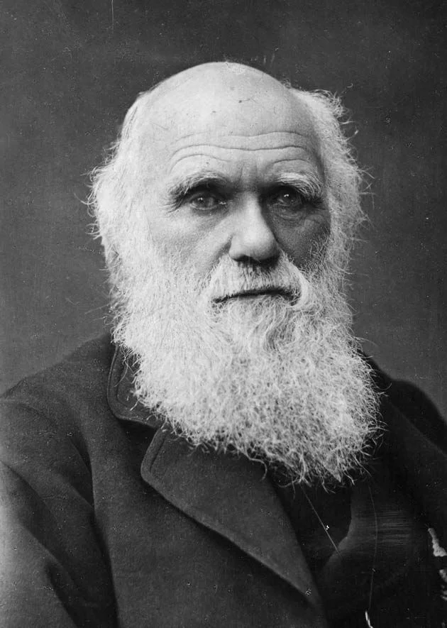 Charles Darwin — Imagen principal