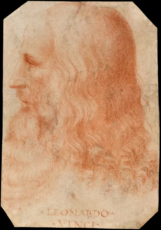 Leonardo da Vinci — Imagen principal