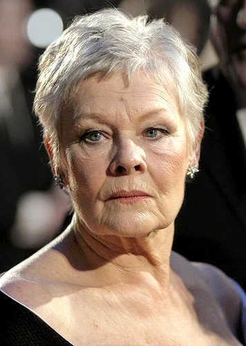 Judi Dench — Imagen principal
