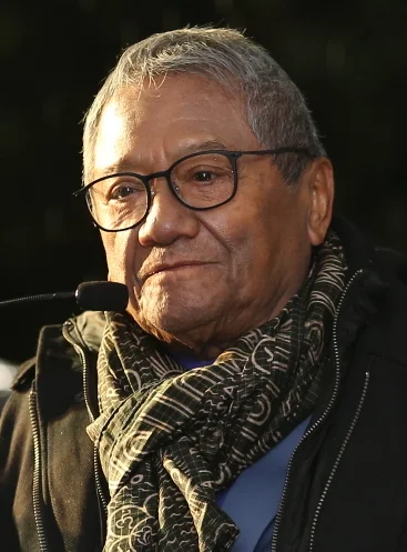 Armando Manzanero — Imagen principal