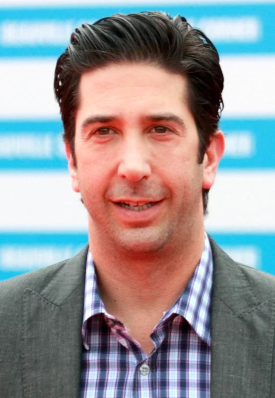 David Schwimmer — Imagen principal
