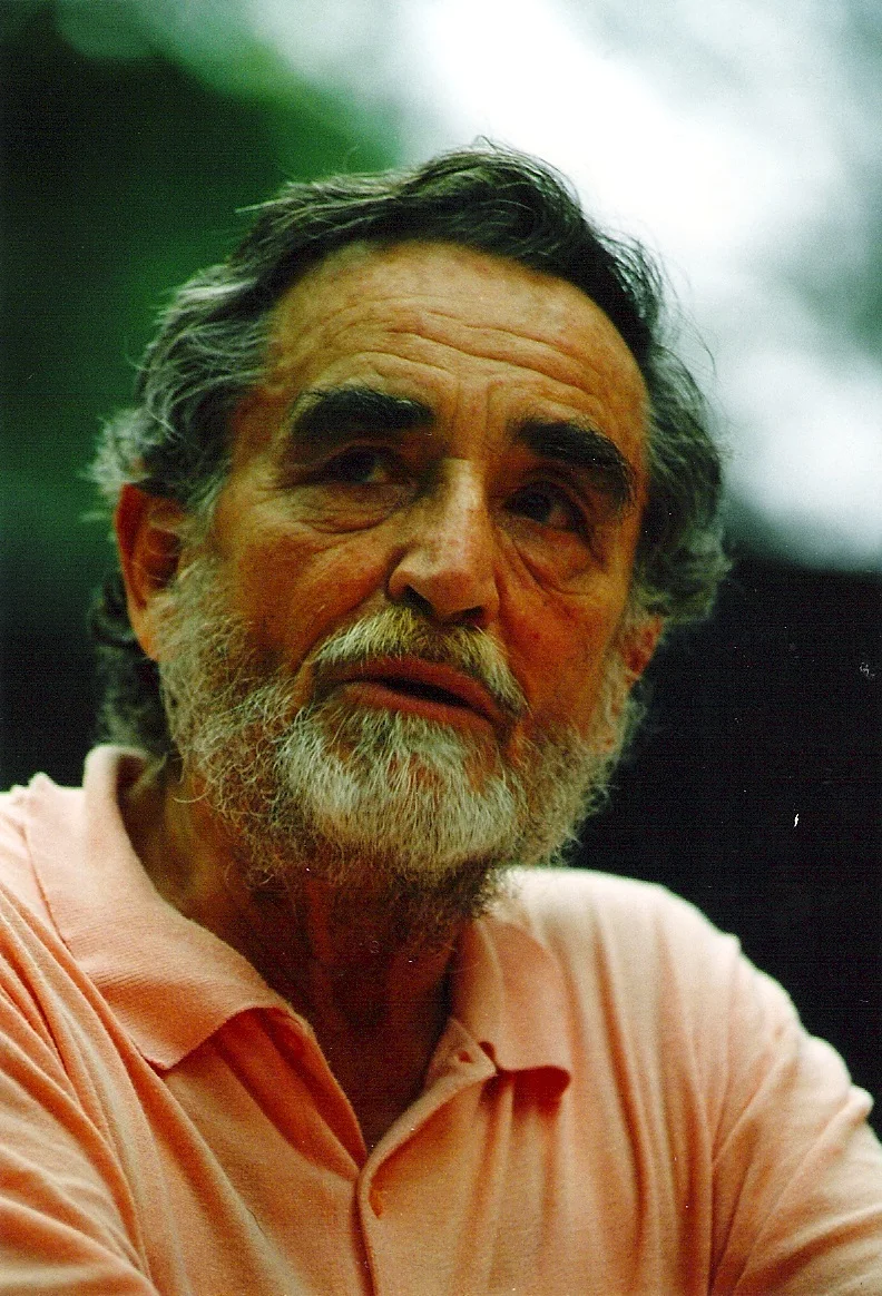 Vittorio Gassman — Imagen principal