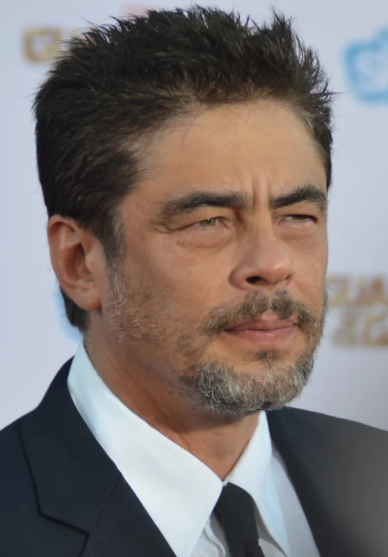 Benicio del Toro — Imagen principal