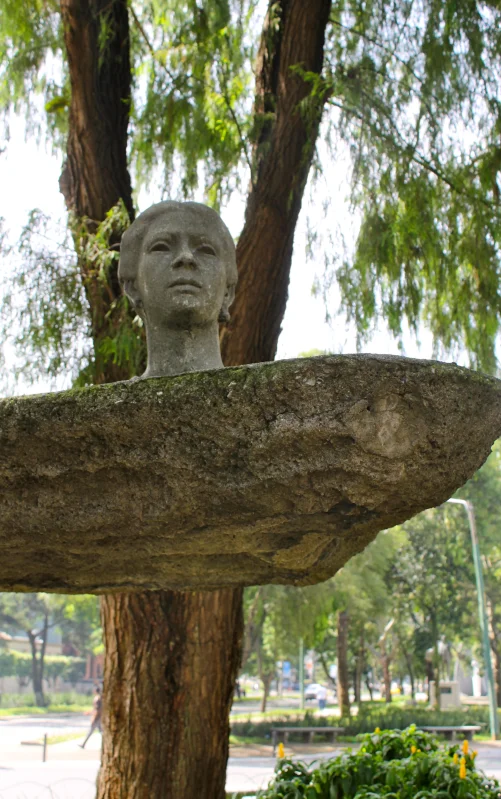 María Dolores Bedoya — Imagen principal