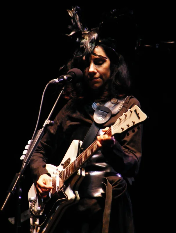PJ Harvey — Imagen principal