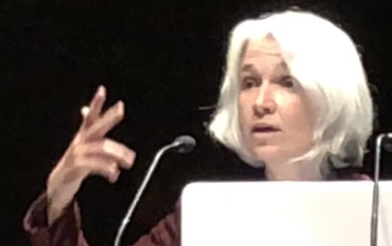 Belén Gopegui — Imagen principal