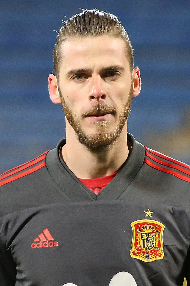 David de Gea — Imagen principal
