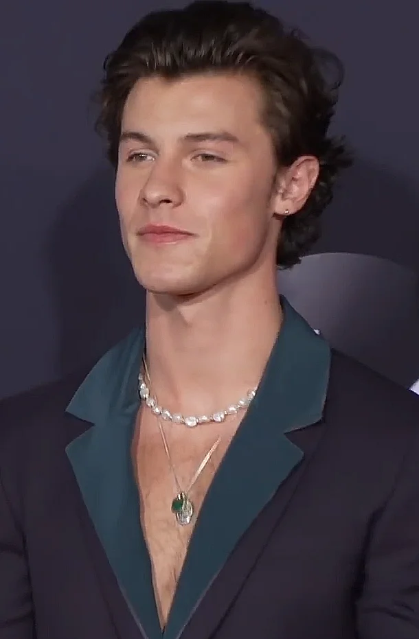 Shawn Mendes — Imagen principal