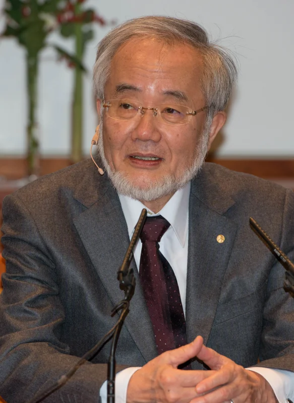Ōsumi Yoshinori — Imagen principal