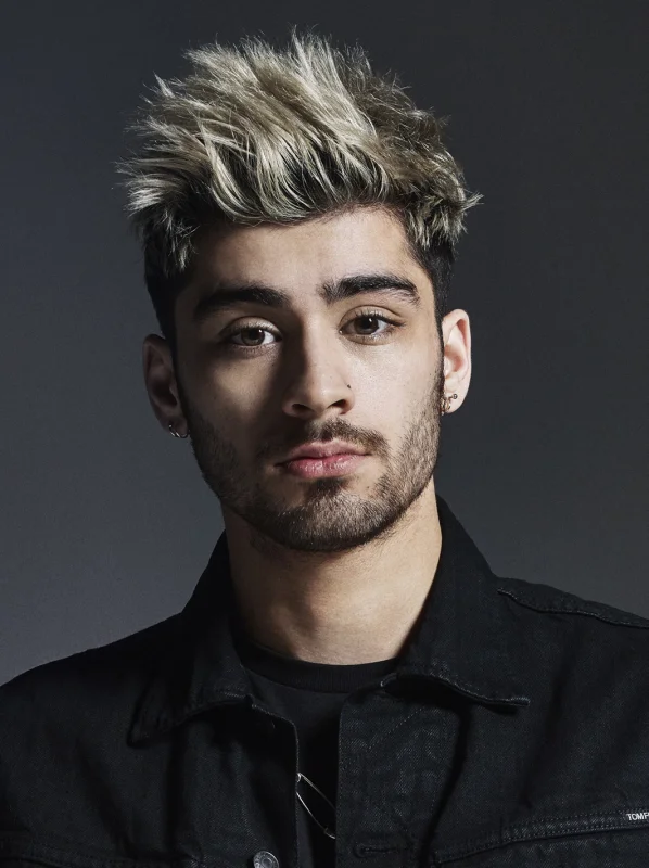 Zayn Malik — Imagen principal