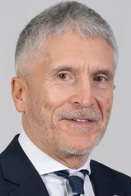 Fernando Grande-Marlaska — Imagen principal