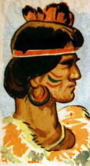Michimalonco — Imagen principal