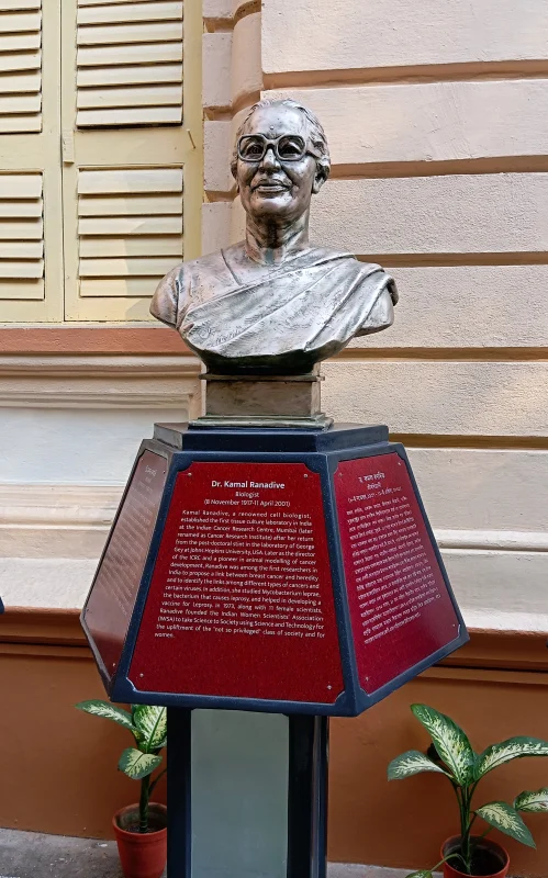 Kamal Ranadive — Imagen principal