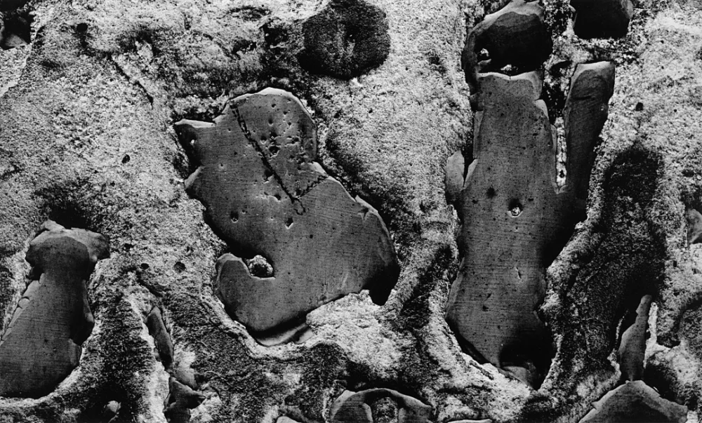 Aaron Siskind — Imagen alternativa